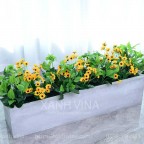 Hàng rào lá hoa hướng dương